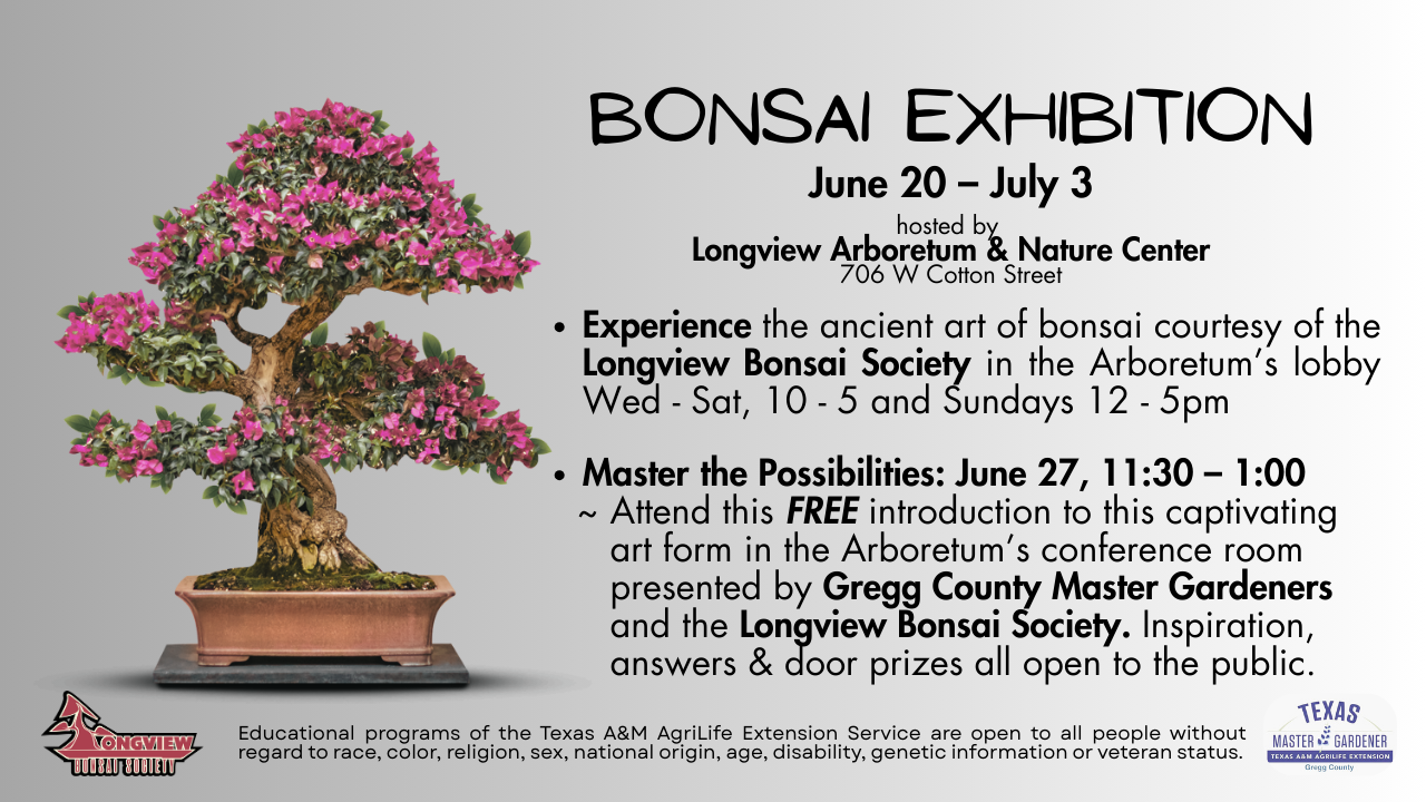 Bonsai II